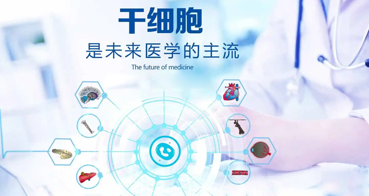 干细胞修复功能